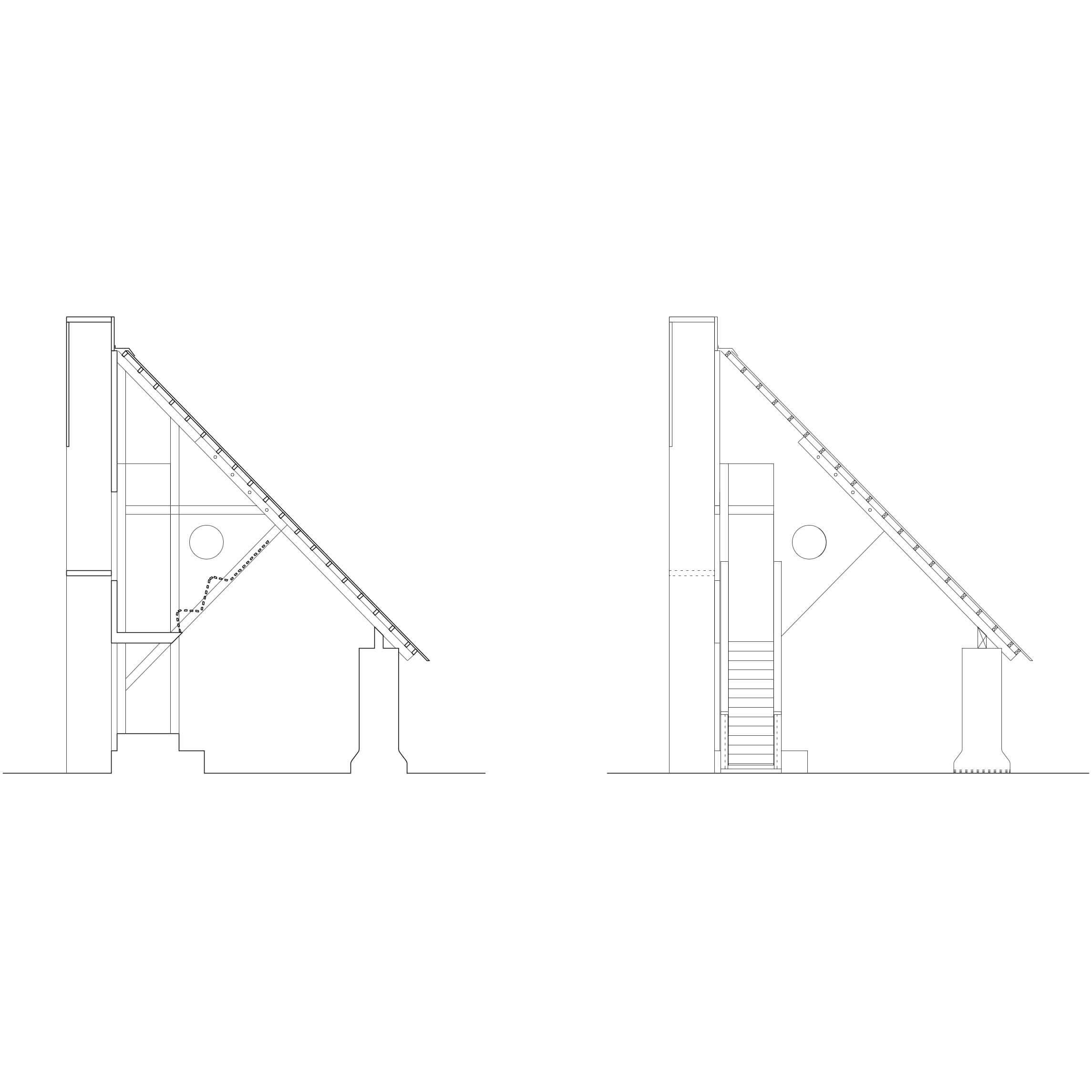 Steve Larkin Architects - Big-Red-Elevation-3-and-Section-Scale-1100