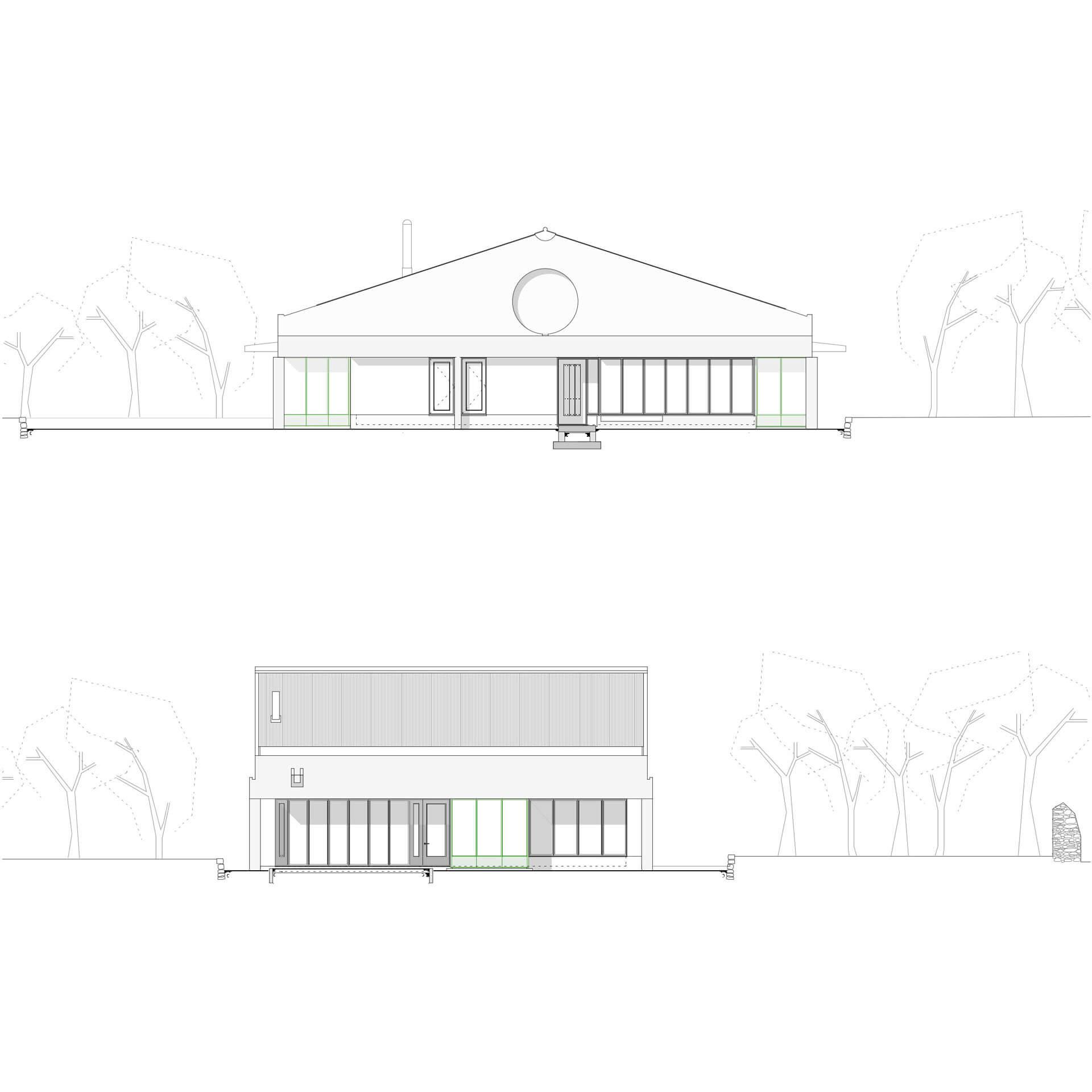 Steve Larkin Architects - Slyguff Elevations Scale 1_200