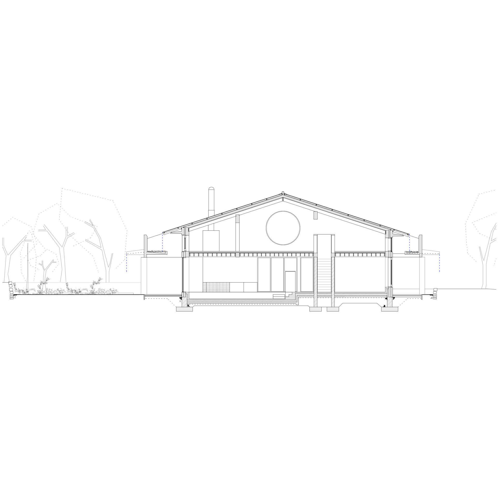 Steve Larkin Architects - Slyguff Section Scale 1_175