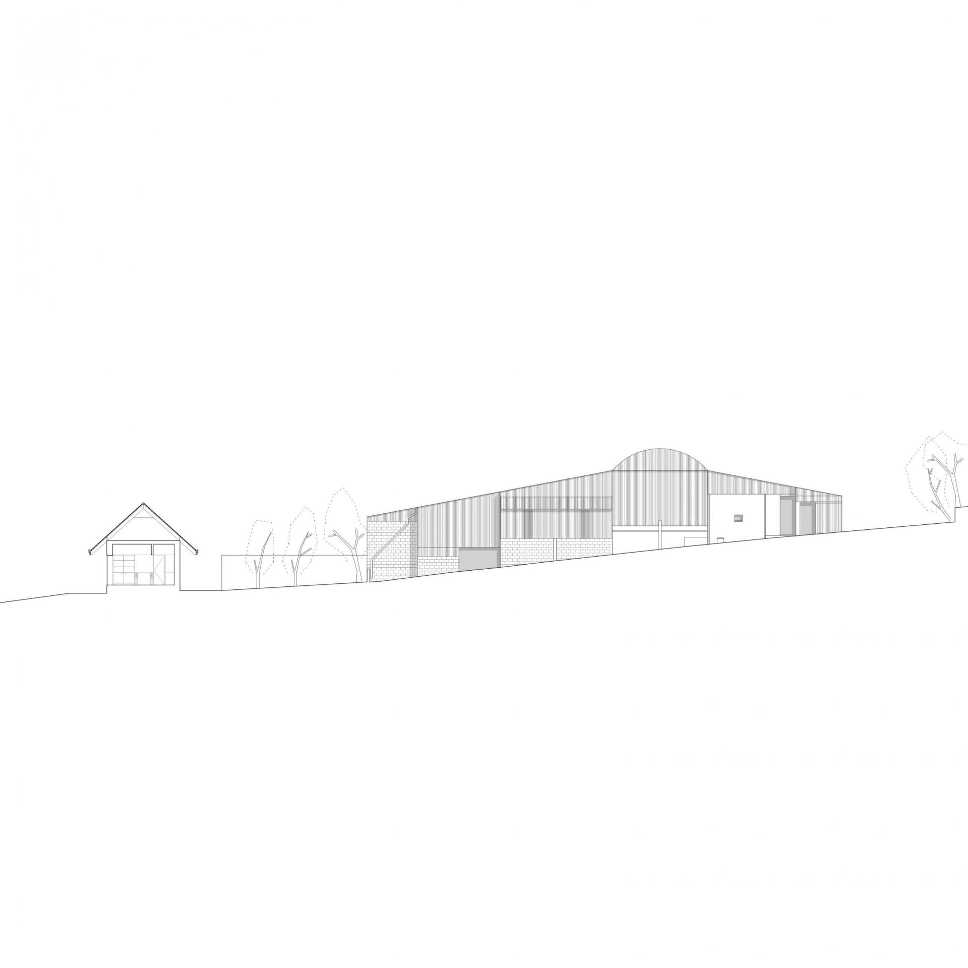 Steve Larkin Architects - Bolabeg-3.-Site-Section-Scale-1250